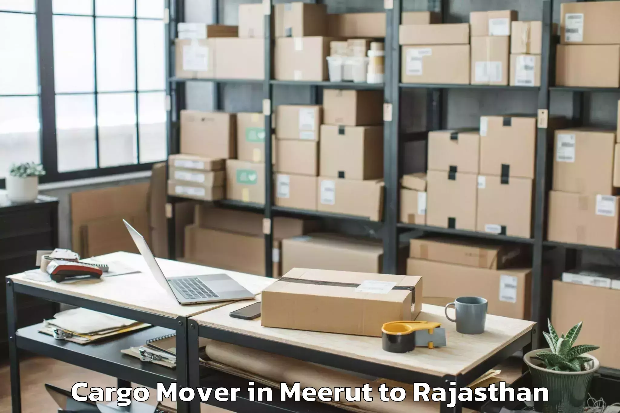 Leading Meerut to Madhav University Pindwara Cargo Mover Provider